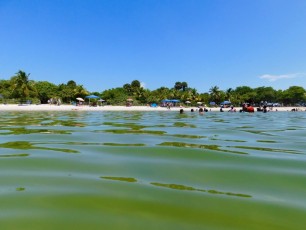 Oleta-river-state-park-plage-miami-beach-3008