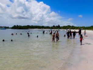 Oleta-river-state-park-plage-miami-beach-3044