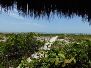 bowman-s-beach-Sanibel-Island-ile-plage-Floride-9168
