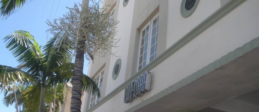 Hotel La Flora - Miami Beach