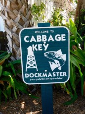 Ile-de-Cabbage-Key-Island-Floride-2390