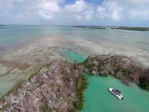 Shell Key, près d'Islamorada dans l'archipel des Keys de Floride