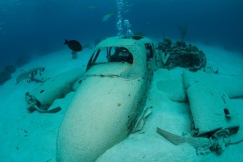 Bahamas - Plane wreck