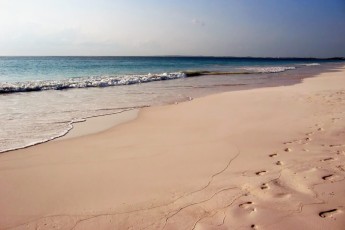Bahamas Harbour Island Pink Sand Beach