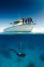 Bahamas - Plongée sous-marine