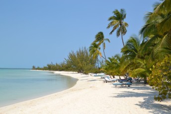 Bahamas Andros - Tiamo Resort