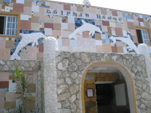 Bahamas Biminis Dolphin House