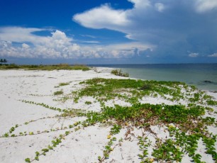 La plage du phare de Boca Grande, sur Gasparilla Island, sur la côte ouest de la Floride