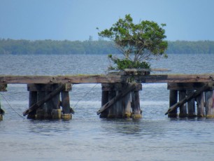 Gasparilla Island, sur la côte ouest de la Floride
