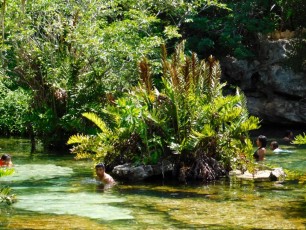 Cenote-Azul-Playa-del-Carmen-Mexique-8703