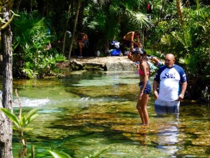 Cenote-Azul-Playa-del-Carmen-Mexique-8708