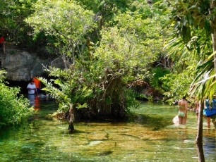 Cenote-Azul-Playa-del-Carmen-Mexique-8742