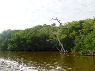 Le lagon de Rio Lagartos dans le Yucatan.