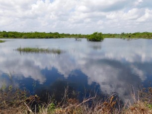 Esperanza : l'une des rares étendues d'eau claire du Yucatan !