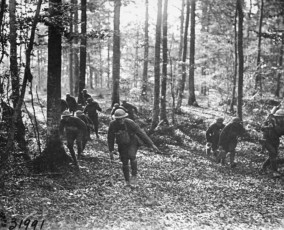 Une mitrailleuse américaine transportée dans une forêt durant la Première Guerre Mondiale