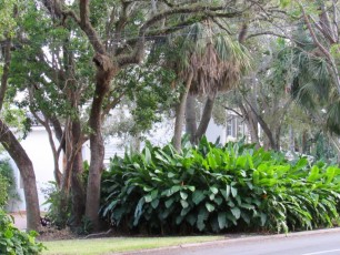 Rio-vista-Fort-Lauderdale-maison-immobilier-0981