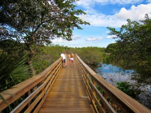 Wakodahatchee Wetlands à Delray Beach