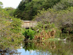 Wakodahatchee Wetlands à Delray Beach
