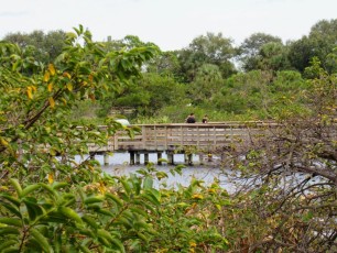 Wakodahatchee Wetlands à Delray Beach