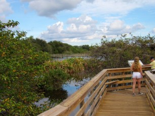Wakodahatchee Wetlands à Delray Beach