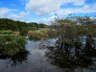 Wakodahatchee-Wetlands-Delray-Beach-1635