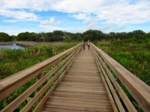 Wakodahatchee Wetlands à Delray Beach