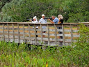 Wakodahatchee Wetlands à Delray Beach