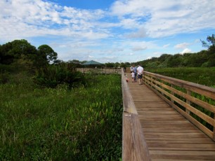 Wakodahatchee-Wetlands-Delray-Beach-1740
