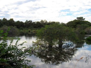 Wakodahatchee Wetlands à Delray Beach