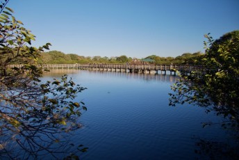 Wakodahatchee-Wetlands-delray-beach-floride8482