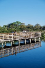Wakodahatchee-Wetlands-delray-beach-floride8492