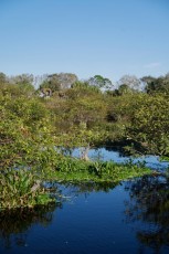 Wakodahatchee-Wetlands-delray-beach-floride8493