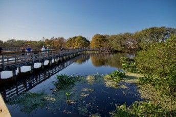 Wakodahatchee-Wetlands-delray-beach-floride8494