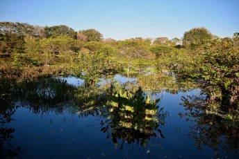 Wakodahatchee-Wetlands-delray-beach-floride8495