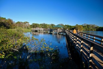 Wakodahatchee-Wetlands-delray-beach-floride8496