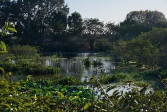 Wakodahatchee-Wetlands-delray-beach-floride8497