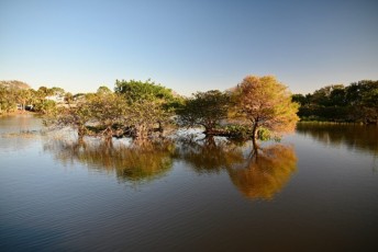 Wakodahatchee-Wetlands-delray-beach-floride8498