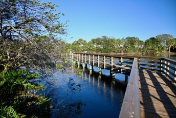 Wakodahatchee-Wetlands-delray-beach-floride8503
