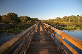 Wakodahatchee-Wetlands-delray-beach-floride8505