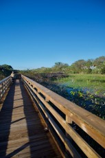 Wakodahatchee-Wetlands-delray-beach-floride8506