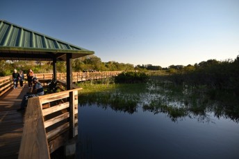 Wakodahatchee-Wetlands-delray-beach-floride8525