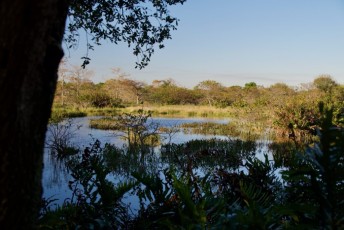 Wakodahatchee-Wetlands-delray-beach-floride8534