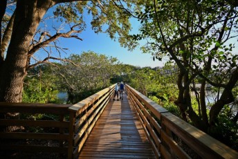 Wakodahatchee-Wetlands-delray-beach-floride8535
