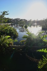 Wakodahatchee-Wetlands-delray-beach-floride8536