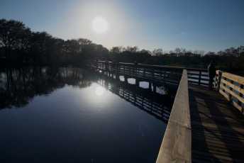 Wakodahatchee-Wetlands-delray-beach-floride8538