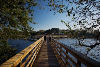 Wakodahatchee-Wetlands-delray-beach-floride8545