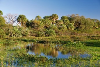 Wakodahatchee-Wetlands-delray-beach-floride8556