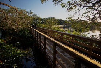Wakodahatchee-Wetlands-delray-beach-floride8575