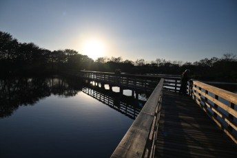Wakodahatchee-Wetlands-delray-beach-floride8582