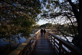 Wakodahatchee-Wetlands-delray-beach-floride8602